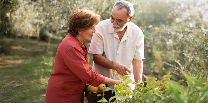 Primeiras plantas medicinais fitoterapia fortalece comunidades